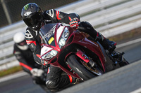 anglesey;brands-hatch;cadwell-park;croft;donington-park;enduro-digital-images;event-digital-images;eventdigitalimages;mallory;no-limits;oulton-park;peter-wileman-photography;racing-digital-images;silverstone;snetterton;trackday-digital-images;trackday-photos;vmcc-banbury-run;welsh-2-day-enduro